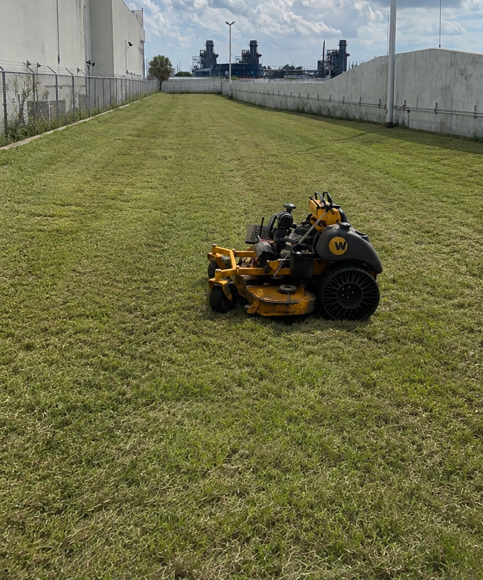 Yard after Performance Lawn Service work
