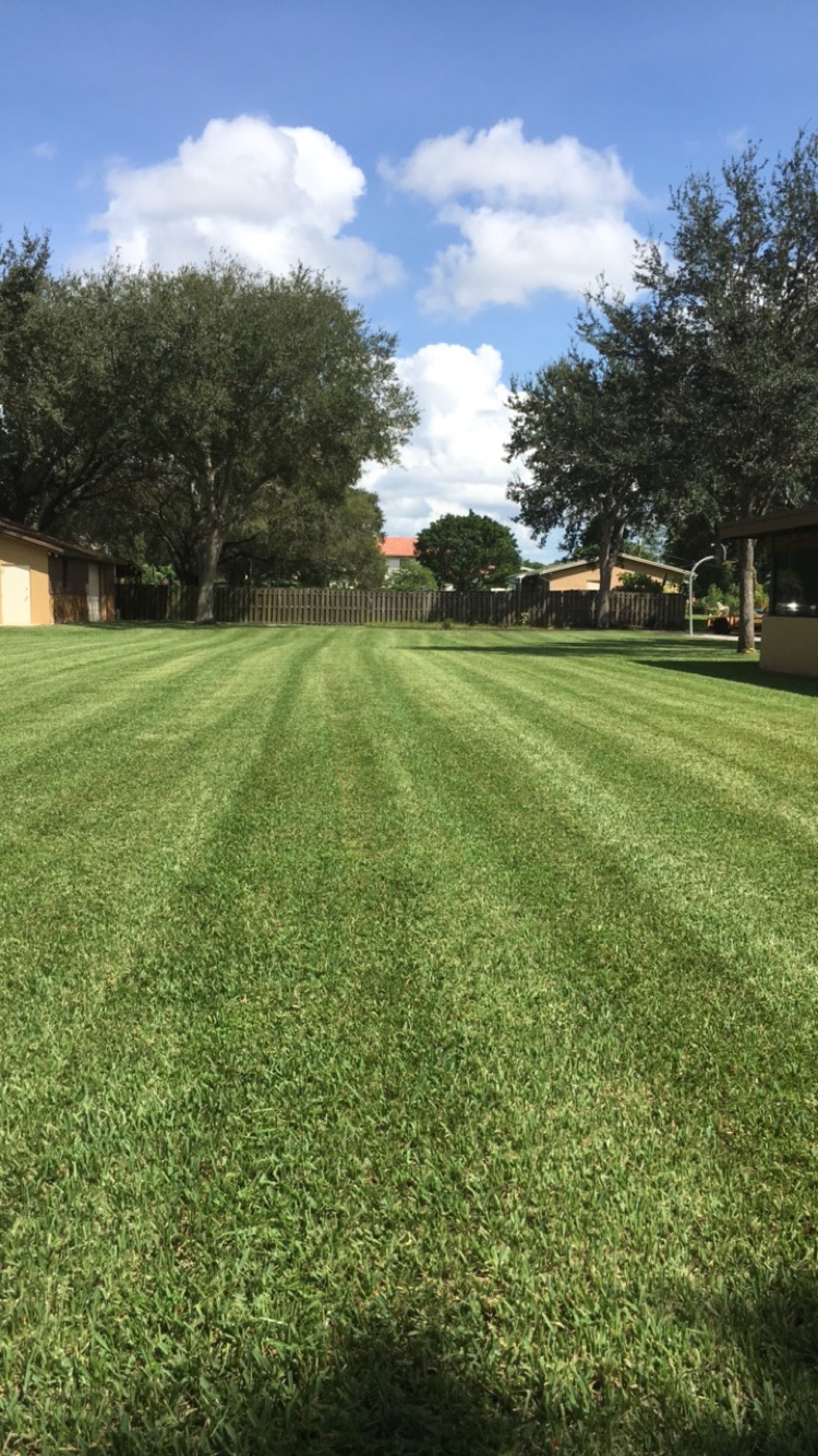 Performance Lawn Service project photo 10