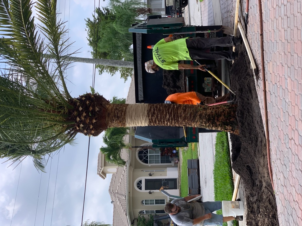 Performance Lawn Service project photo 14