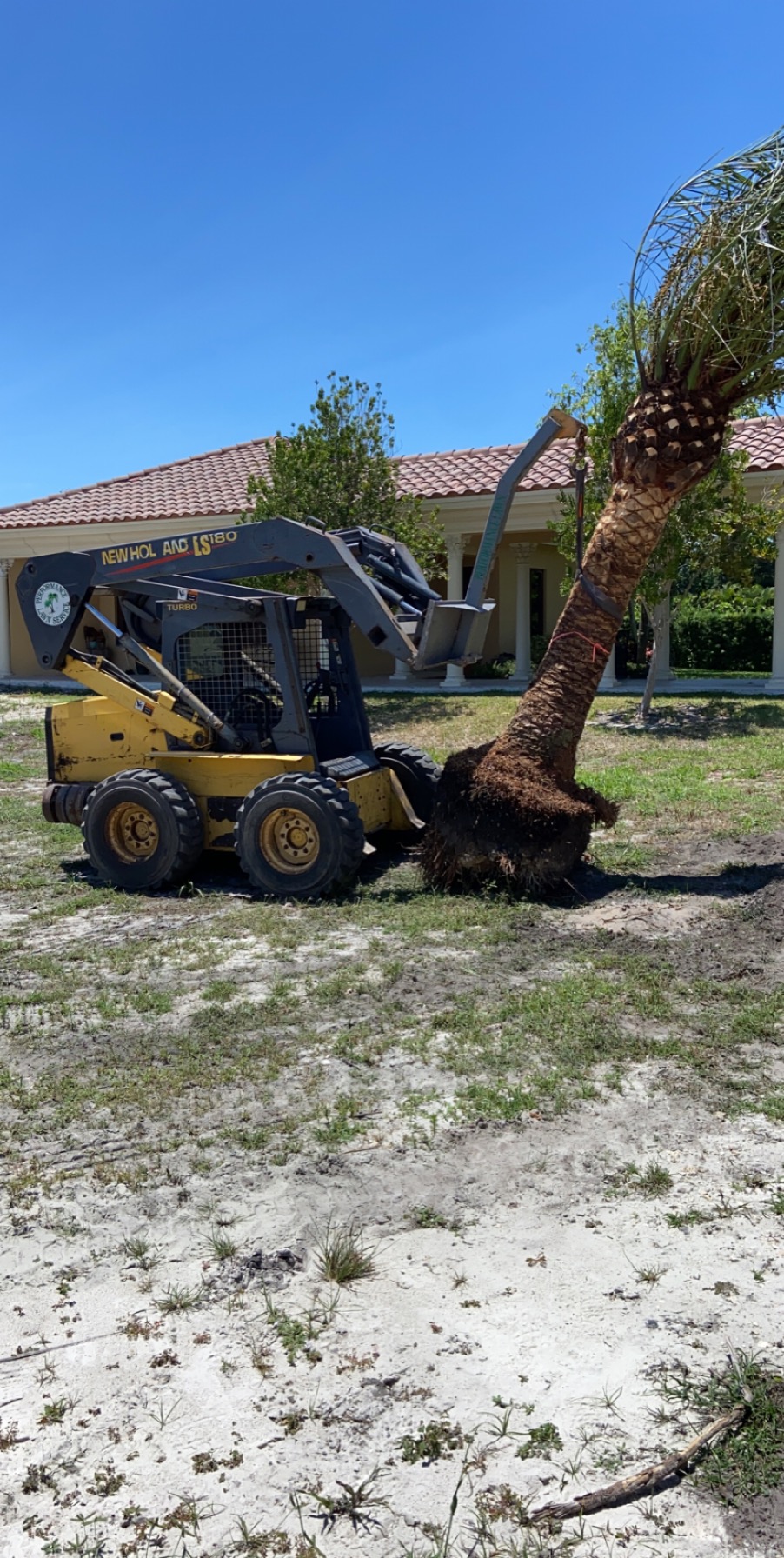 Performance Lawn Service project photo 18