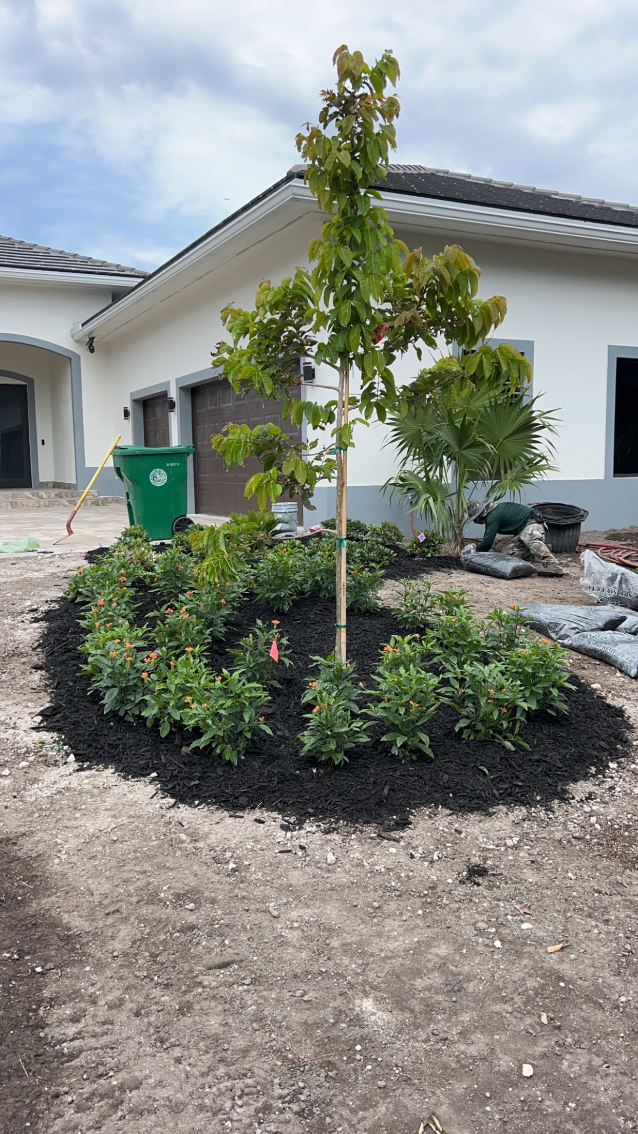 Performance Lawn Service project photo 23