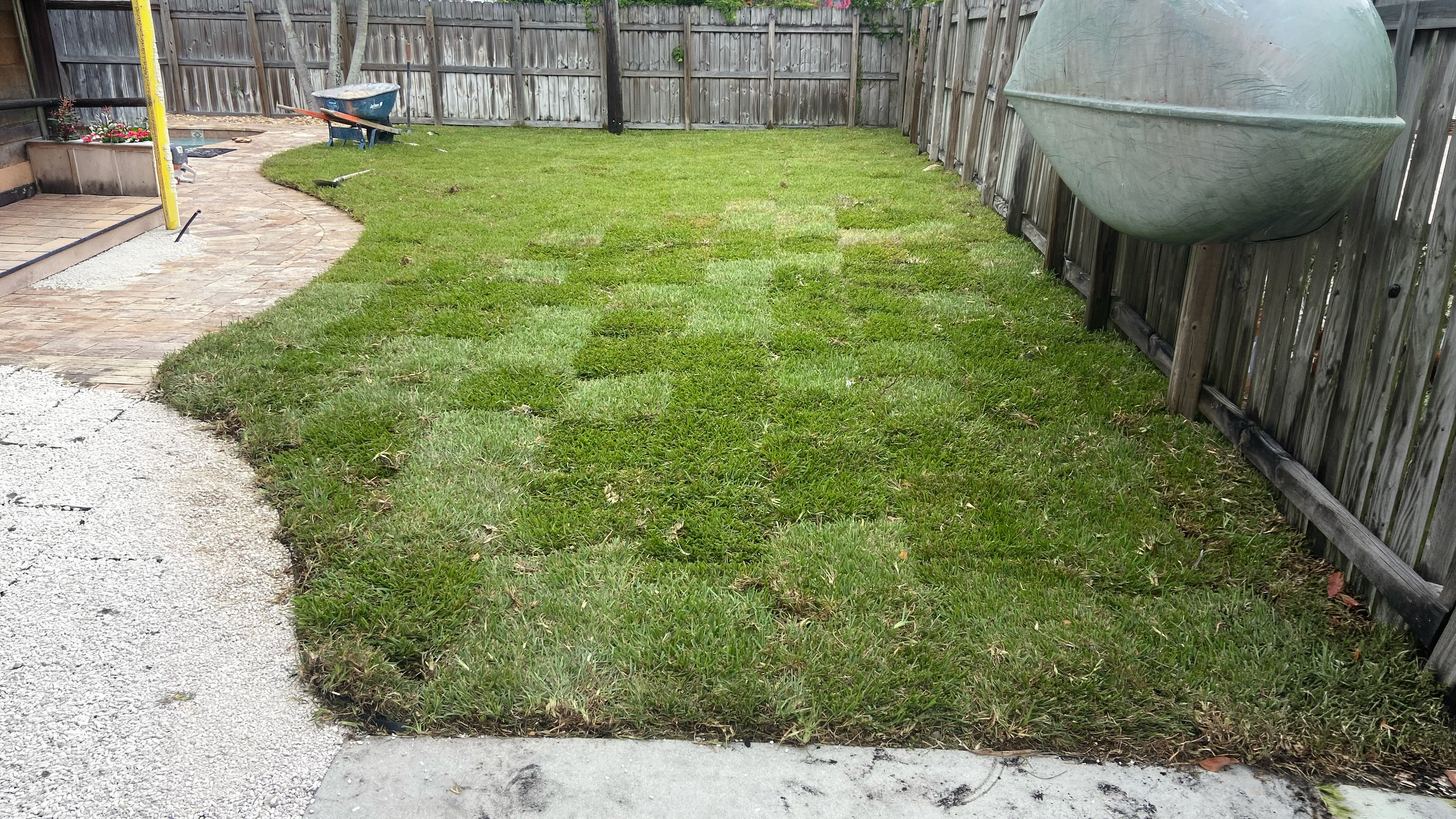 Performance Lawn Service project photo 3