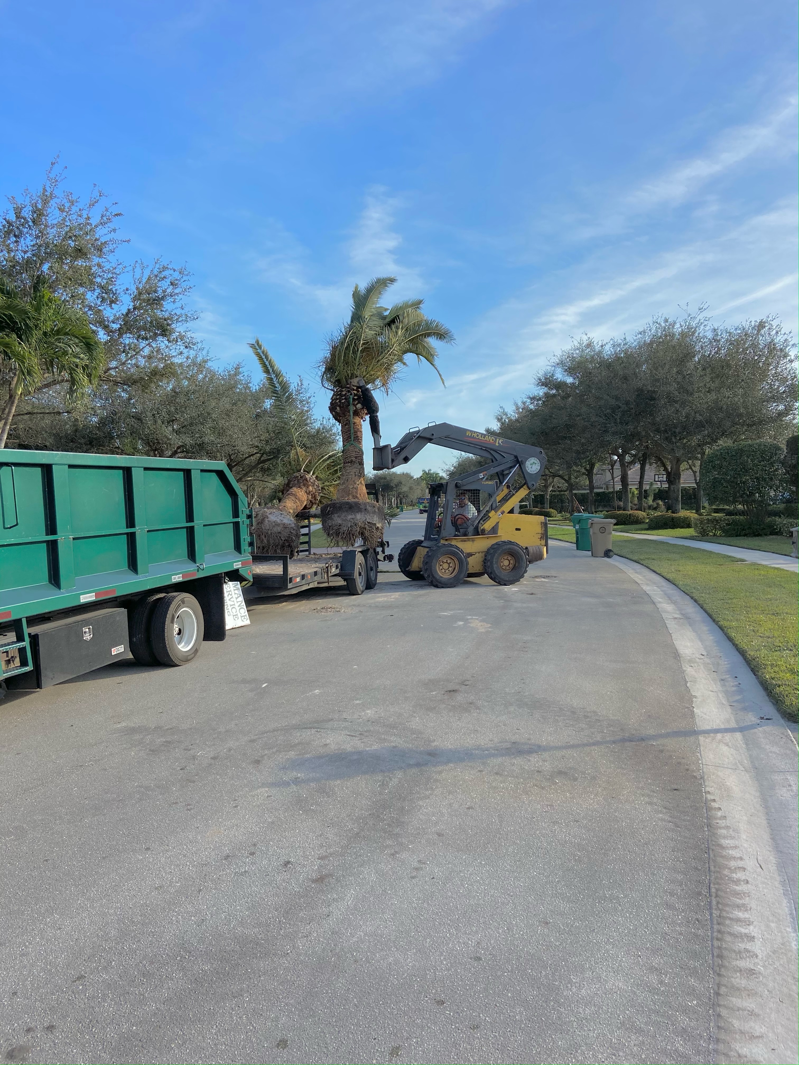 Performance Lawn Service project photo 8